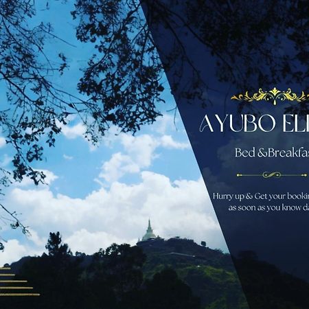 Ayubo Ella - Bed & Breakfast Exteriér fotografie