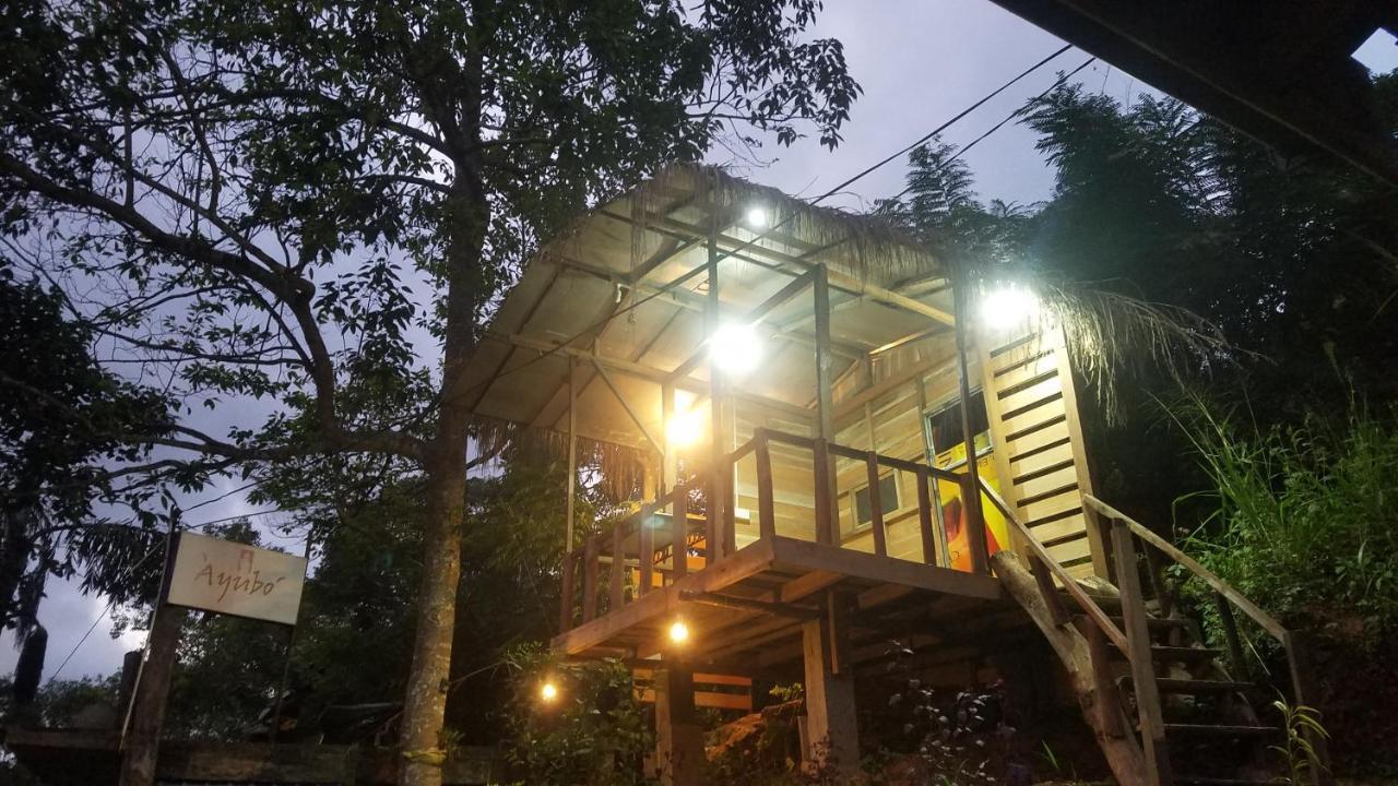 Ayubo Ella - Bed & Breakfast Exteriér fotografie